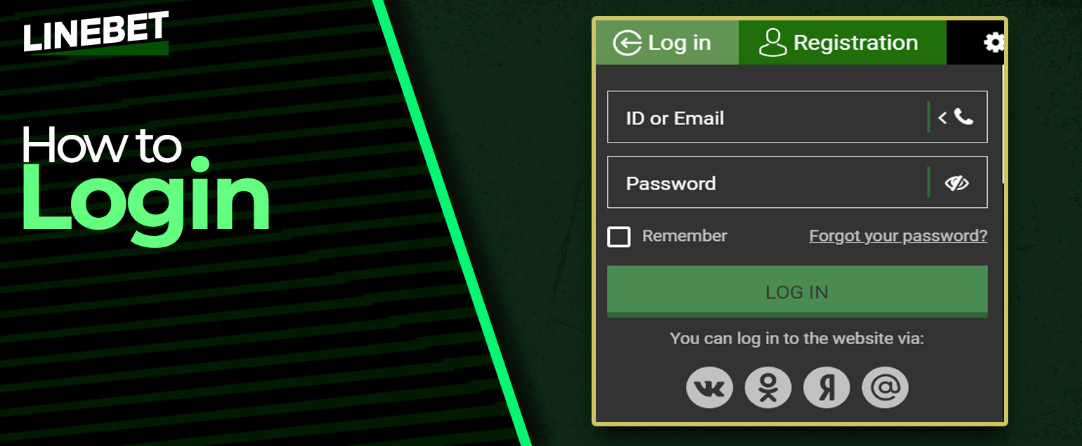 All fields you should fill in order to enter to the Linebet account.