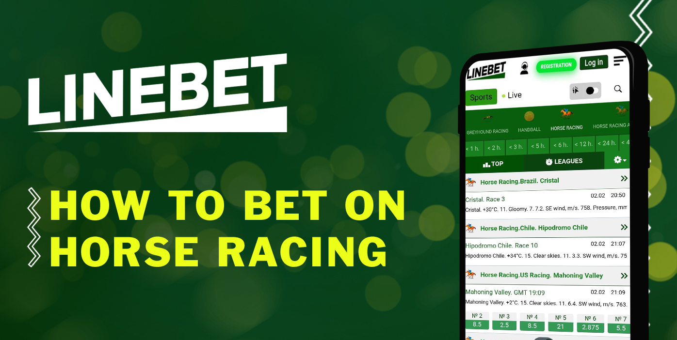 Instructions for beginners on how to place a Horse Racing bet on LineBet