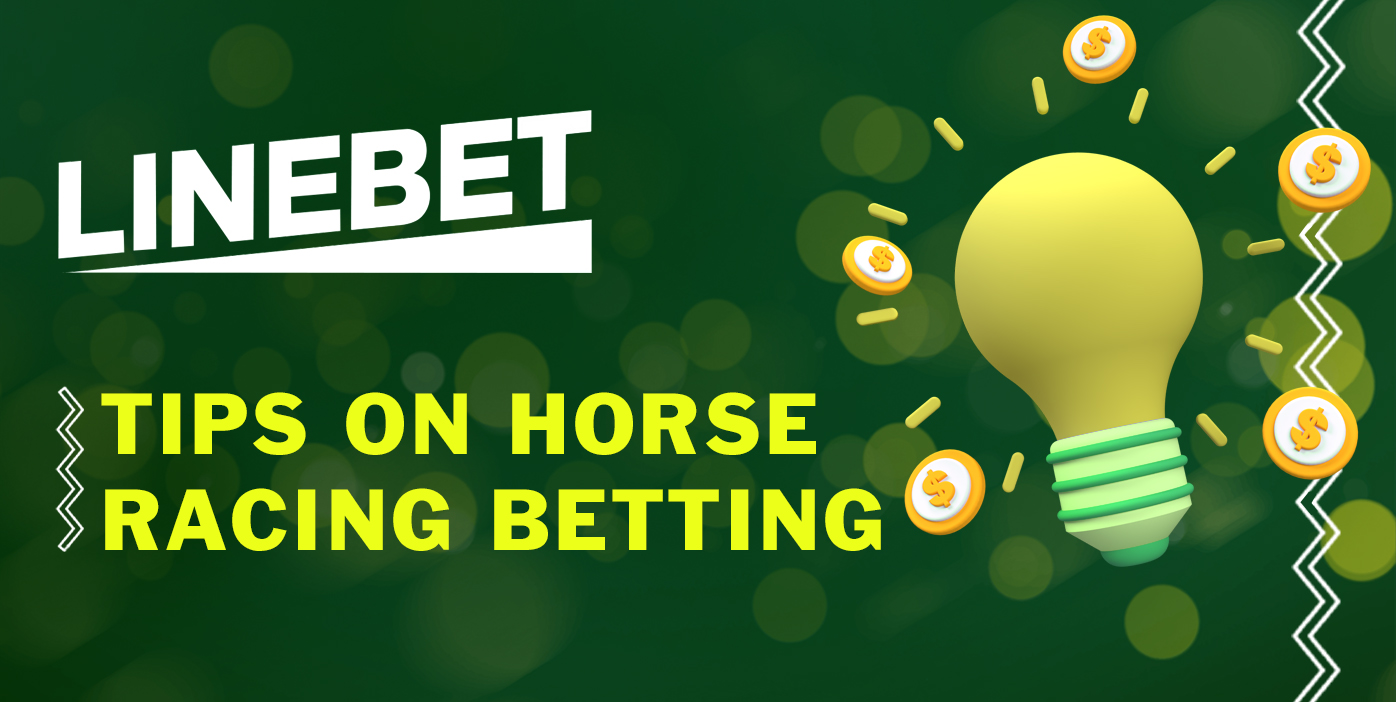 Use the tips to form a successful bet on Horse Racing at LineBet